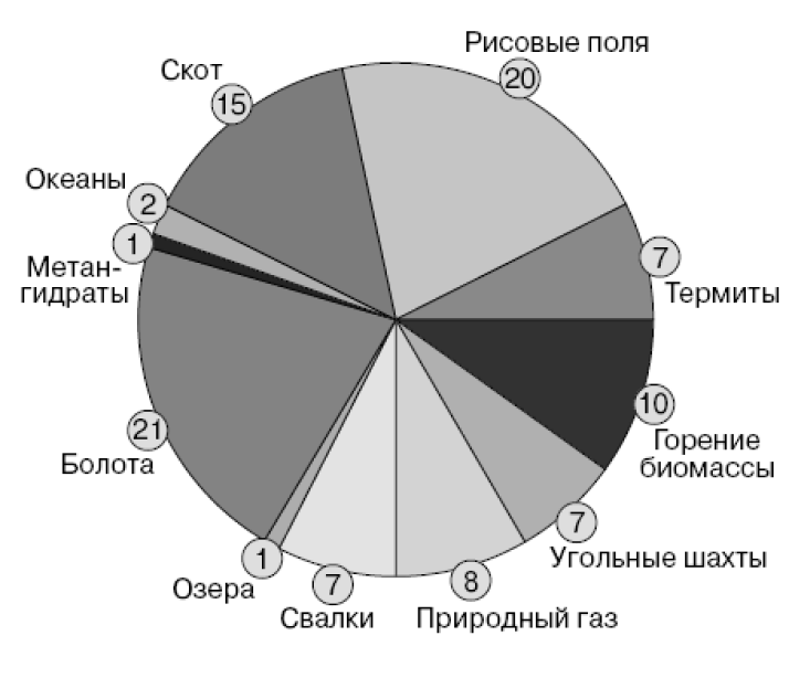 Изображение на обложке