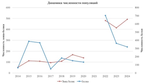 Изображение на обложке