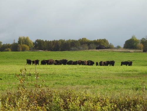 Изображение на обложке